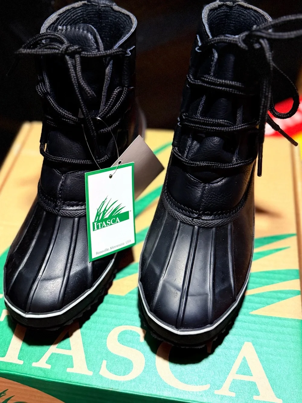 Itasca Women's Black Lace-Up Waterproof Winter Boots